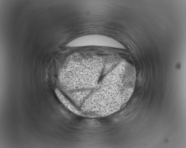 X0000116780424201001141515