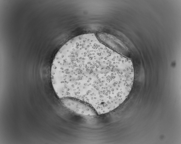 X0000116780425201001141515