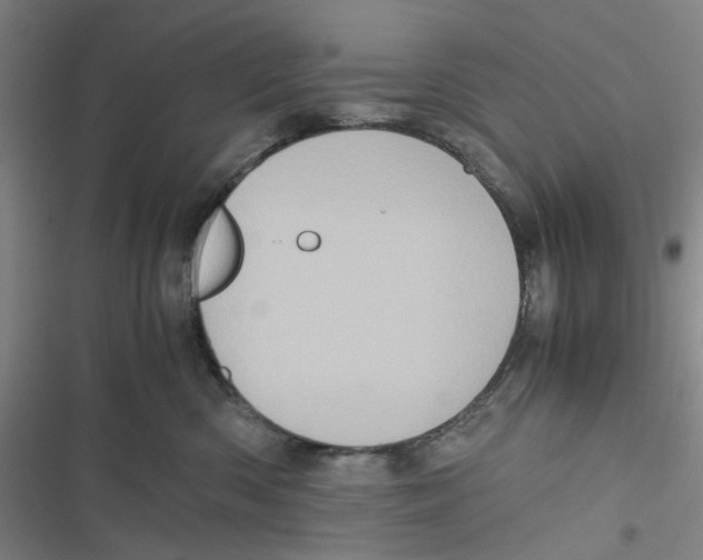 X0000116780426201001141515