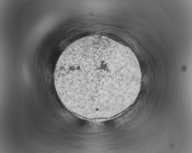 X0000116780429201001141515