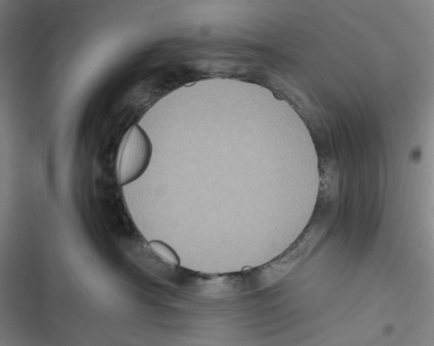 X0000116780430201001141515