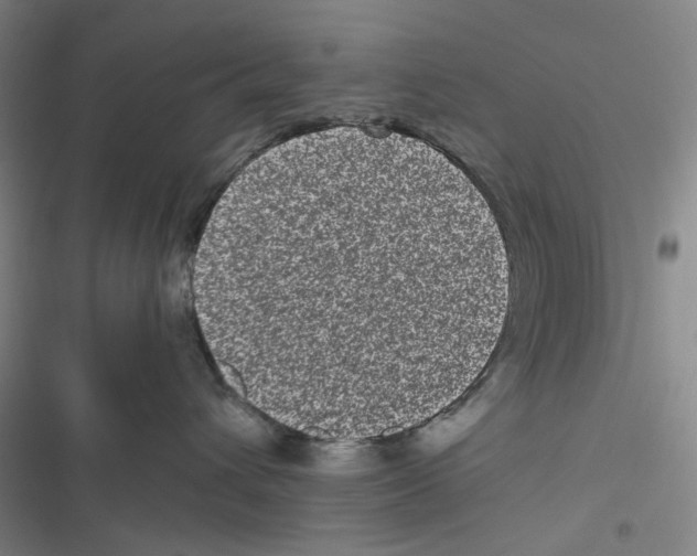 X0000116780432201001141515