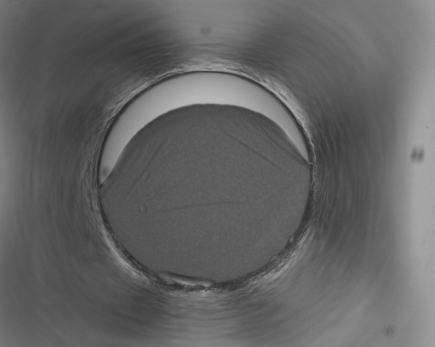 X0000116780433201001141515