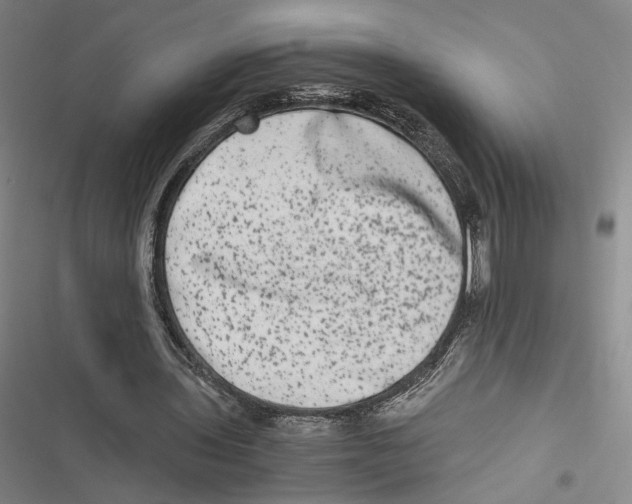 X0000116780435201001141515