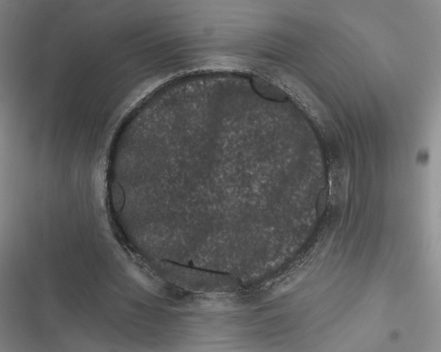 X0000116780436201001141515