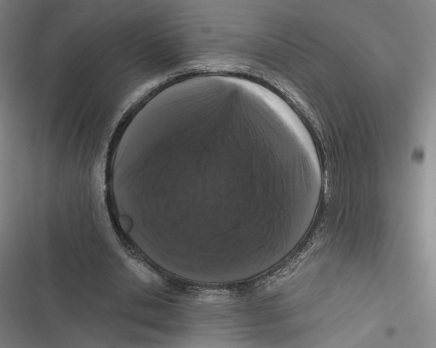 X0000116780438201001141515