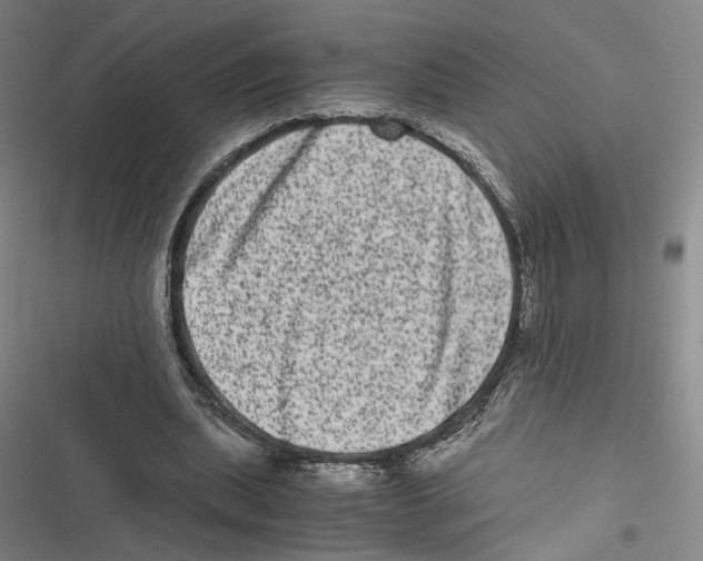 X0000116780439201001141515