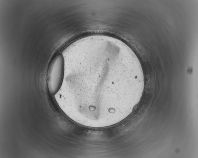 X0000116780440201001141515