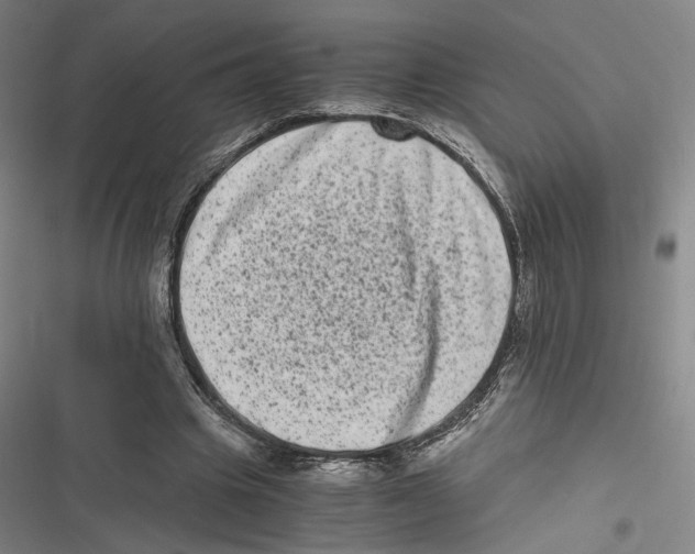 X0000116780441201001141515