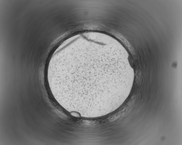 X0000116780442201001141515