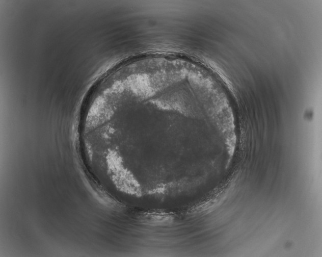 X0000116780443201001141515