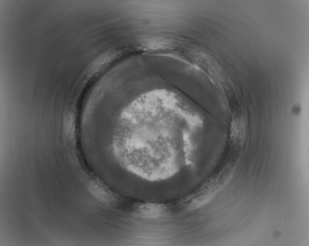 X0000116780444201001141515