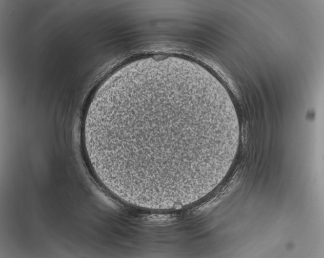 X0000116780445201001141515