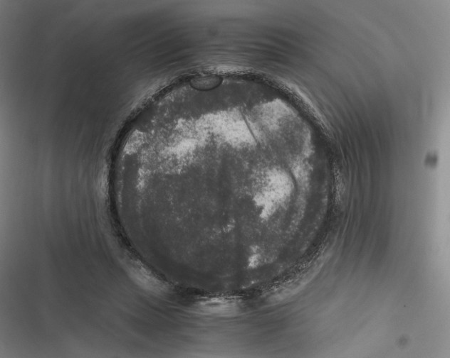 X0000116780447201001141515