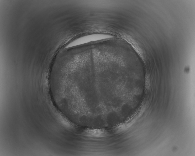 X0000116780449201001141515