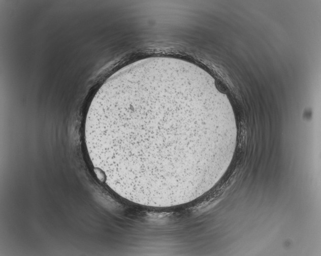 X0000116780450201001141515