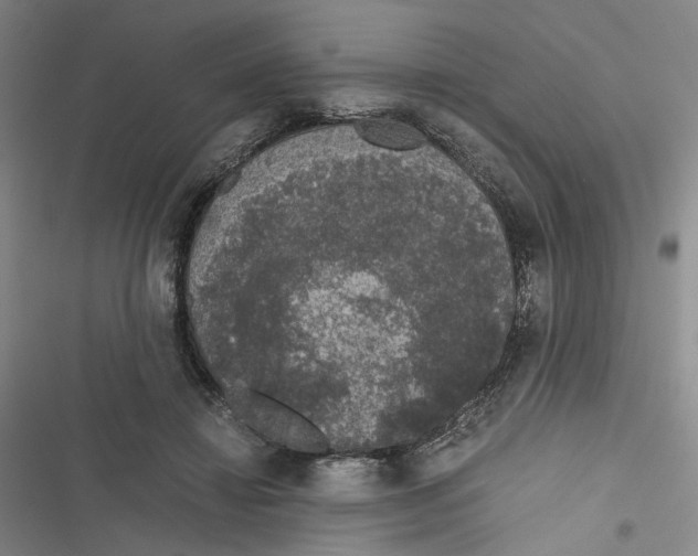 X0000116780452201001141515