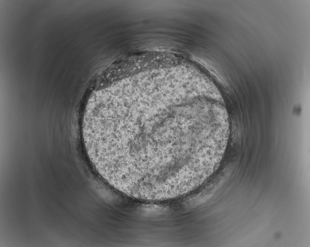 X0000116780453201001141515