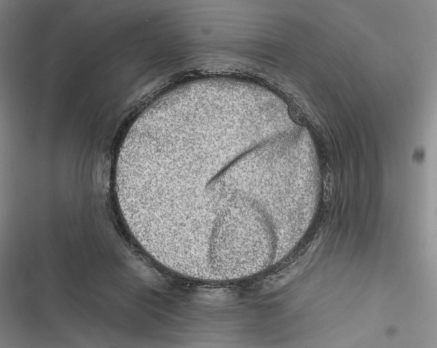 X0000116780454201001141515