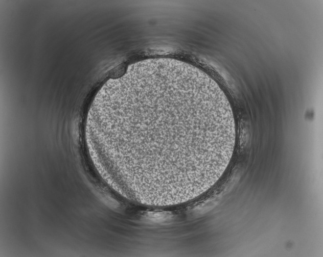 X0000116780455201001141515