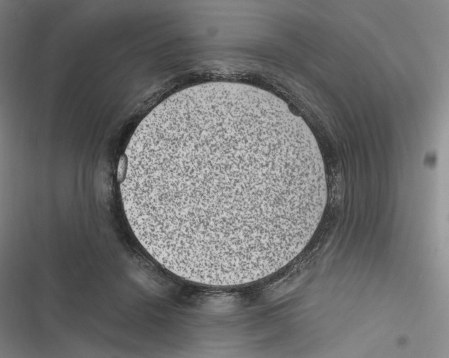 X0000116780456201001141515