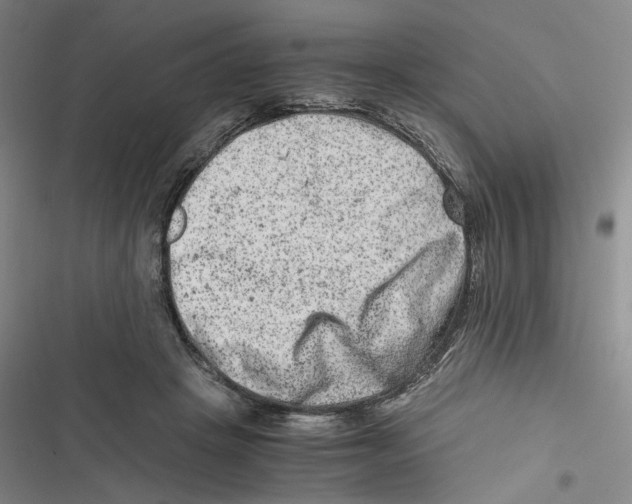 X0000116780457201001141515