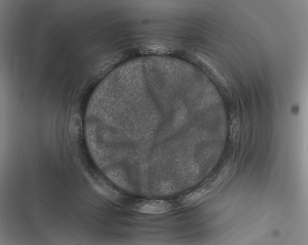 X0000116780459201001141515