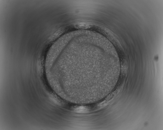 X0000116780460201001141515