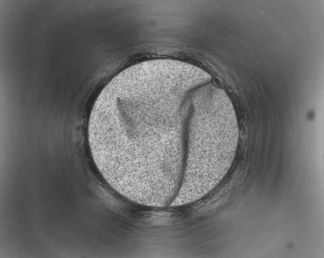 X0000116780462201001141515