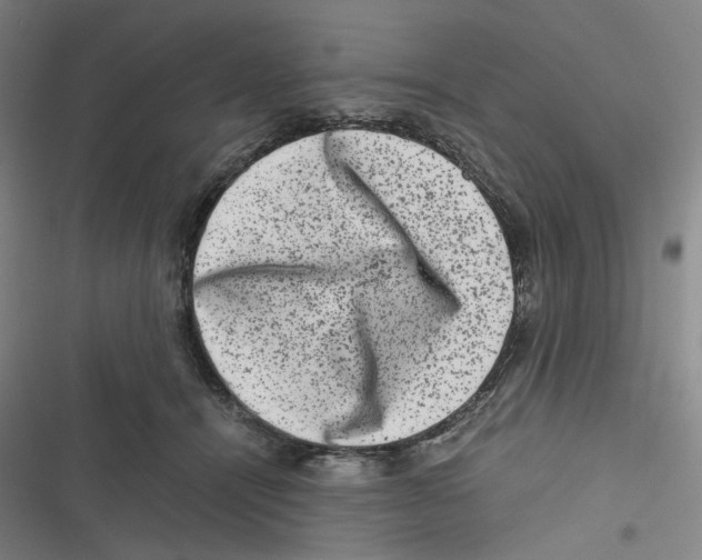 X0000116780464201001141515