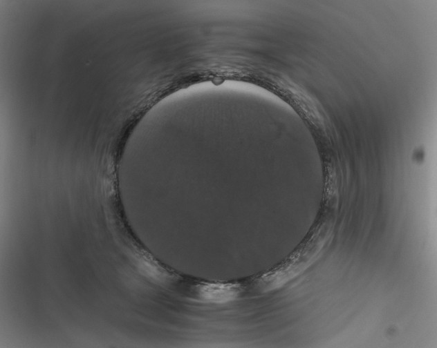 X0000116780465201001141515