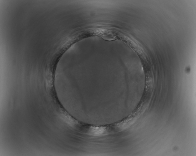 X0000116780469201001141515