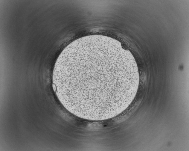 X0000116780470201001141515