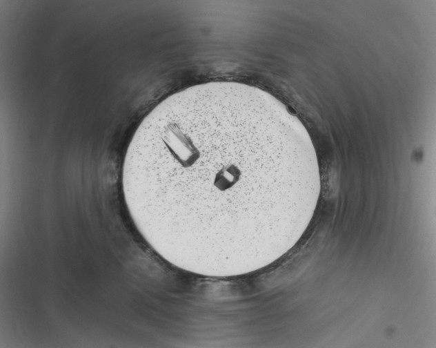 X0000116780472201001141515