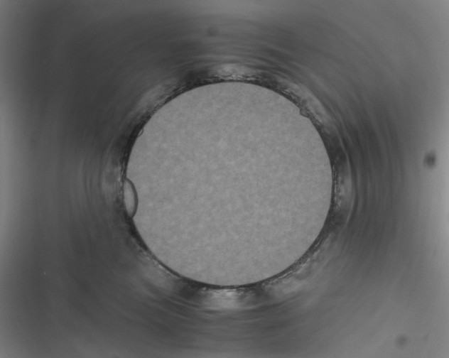 X0000116780473201001141515