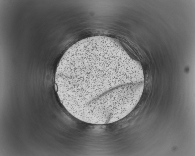 X0000116780474201001141515