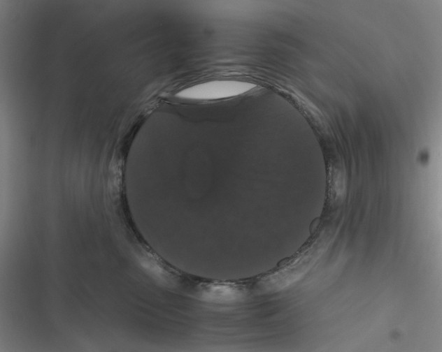 X0000116780475201001141515