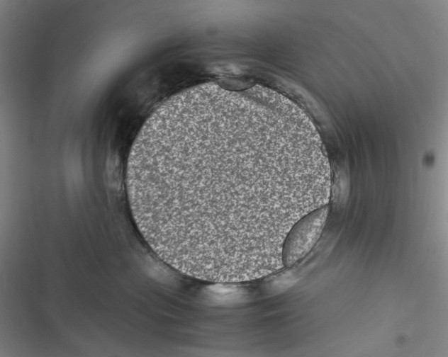 X0000116780477201001141515