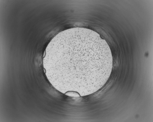 X0000116780478201001141515