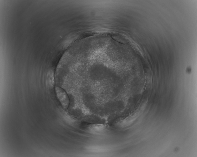 X0000116780479201001141515