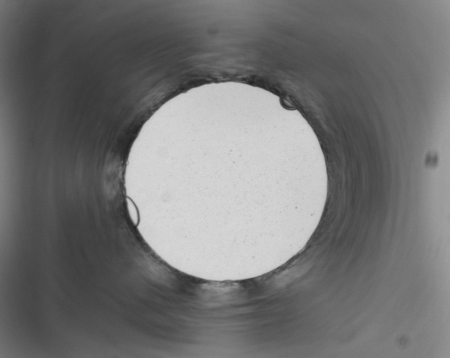 X0000116780480201001141515