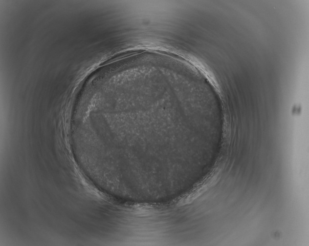 X0000116780481201001141515