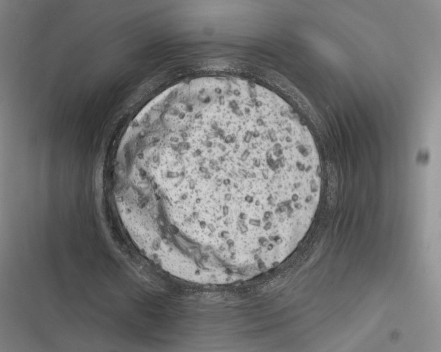 X0000116780482201001141515