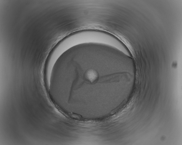 X0000116780485201001141515