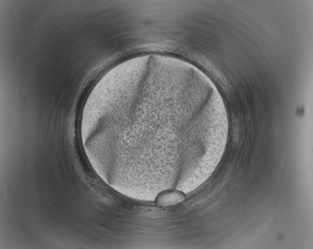 X0000116780486201001141515