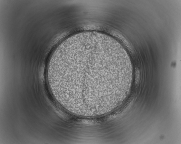 X0000116780490201001141515