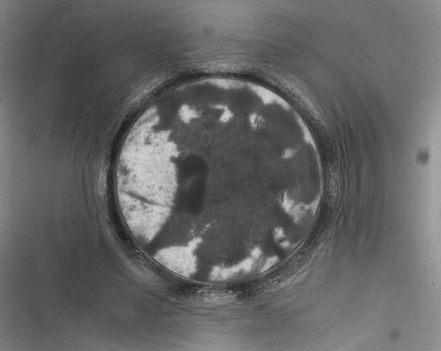 X0000116780491201001141515