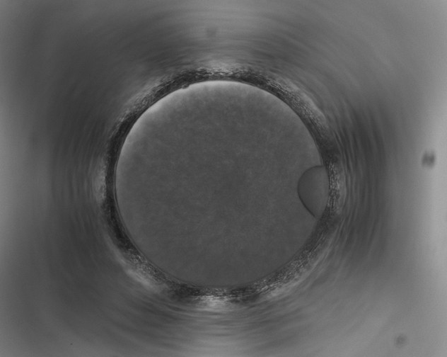 X0000116780496201001141514