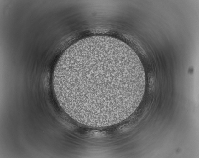 X0000116780498201001141514