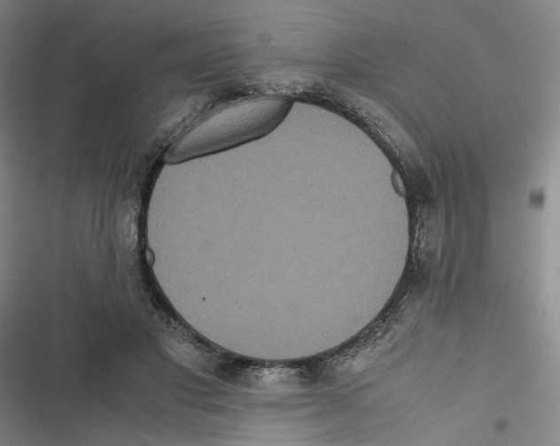 X0000116780501201001141514